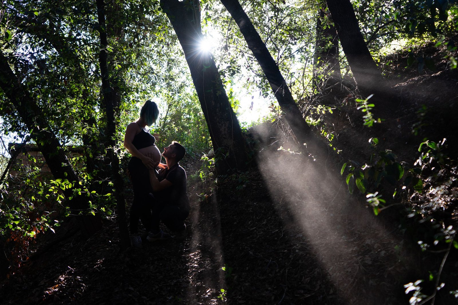 Embarazo: pareja en el bosque a contraluz